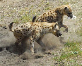 Altina Wildlife Park - Tourism Guide 0