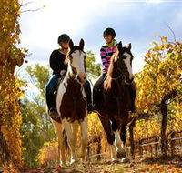 Billabong Ranch - Tourism Guide