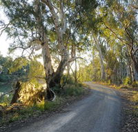 Alton Gallery - Echuca Moama Artists - Cruises Travel