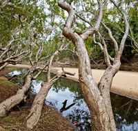 Oyala Thumotang National Park CYPAL - Tourism Guide