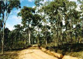 Paddys Ranges State Park - Cruises Travel 0