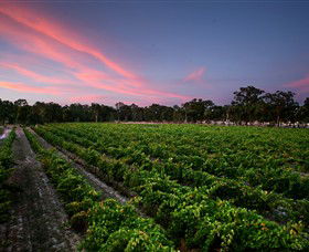 Amherst Winery - Tourism Guide 0