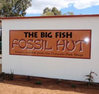 Big Fish Fossil Hut at Peak Hill - Tourism Guide