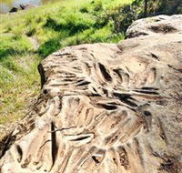 Terramungamine Rock Grooves - Tourism Guide