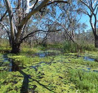 Macquarie Valley Trails - Tourism Guide