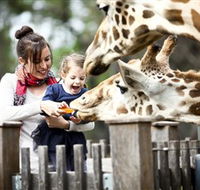 Taronga Western Plains Zoo Dubbo - Tourism Guide