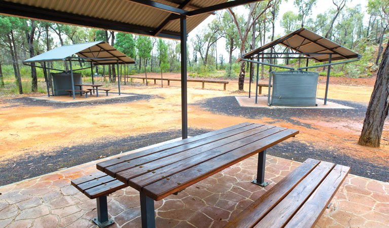 The Pilliga NSW Tourism Guide