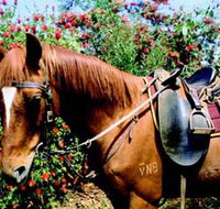 Western Plains Riding Centre - Tourism Guide