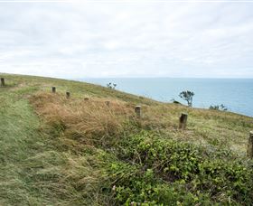 Cape Palmerston National Park - Tourism Guide 3