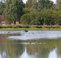 Cussen Park - Tourism Guide