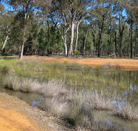 Beni State Conservation Area - Tourism Guide