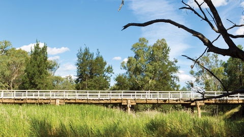 Pilliga National Park - Travel Agents 3