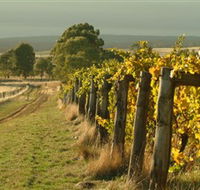 Captains Creek Organic Wines - Tourism Guide