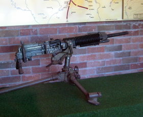 Woodpecker Gun - Tourism Guide 0