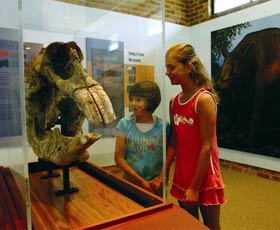 Australian Museum Diprotodon Exhibition - Travel Agents 0