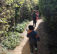 The Tangled Maze  Mistydowns Nursery - Tourism Guide