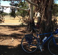 Murchison Rail Trail - Cruises Travel