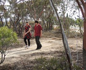 Tamma Parkland - Tourism Guide 0