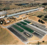 Co-operative Bulk Handling CBH Wheat Storage and Transfer Depot - Tourism Guide