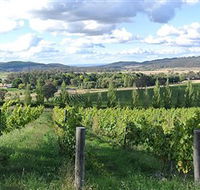 Sassy Wines - Tourism Guide