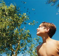 Bushwalking on Keswick Island - Tourism Guide