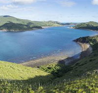 The Cremer Shipwreck Dive Site - Keswick Island - Tourism Guide