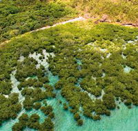 The Singapore Shipwreck Dive Site - Keswick Island - Tourism Guide