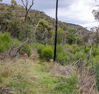 Lynchs loop trail - Cruises Travel