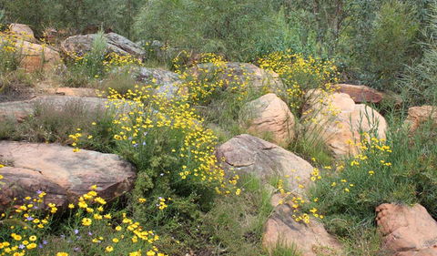 Ben Hall's Cave Walking Track - Tourism Guide 2
