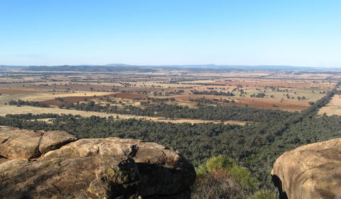 Basin Gully To Eualdrie Lookout Track - Cruises Travel 0