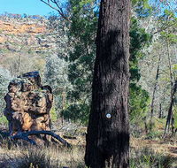 Eualdrie walking track - Cruises Travel