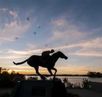 Black Caviar Statue - Tourism Guide