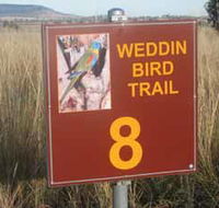 Weddin Bird Trails - Cruises Travel