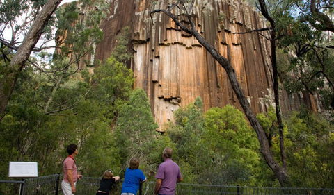 Sawn Rocks Walking Track - Tourism Guide 0