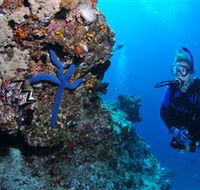 Lighthouse Bommie Dive Site - Cruises Travel
