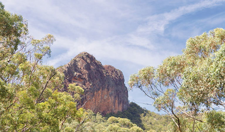 Bullawa Creek NSW Tourism Guide