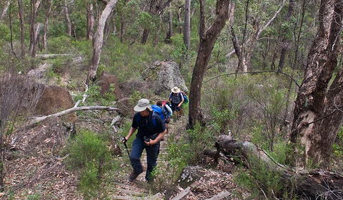 Yulludunida Walking Track - Tourism Guide 3