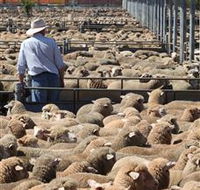 Livestock Marketing Centre - Tourism Guide