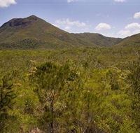 Kutini-Payamu Iron Range National Park CYPAL - Tourism Guide