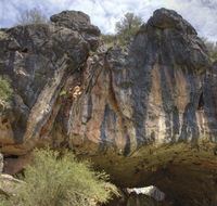 Borenore Karst Conservation Reserve - Tourism Guide