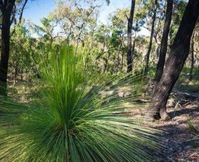 Staughton Vale VIC Tourism Guide