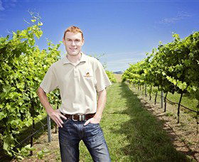 Stockmans Ridge Wines - Tourism Guide 0