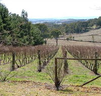 Habitat Vineyard - Tourism Guide