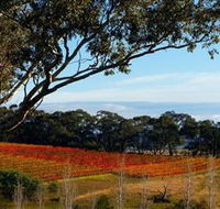 Bloodwood Estate - Tourism Guide