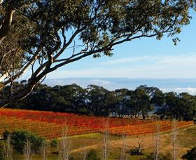 Bloodwood Estate - Travel Agents 0