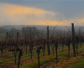 Bloodwood Estate - Travel Agents 1