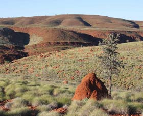 Camel Trail, Millstream-Chichester National Park - Tourism Guide 0