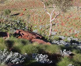 Camel Trail, Millstream-Chichester National Park - Tourism Guide 2