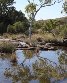 Camel Trail, Millstream-Chichester National Park - Tourism Guide 3