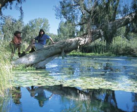 Millstream Chichester National Park - Tourism Guide 1